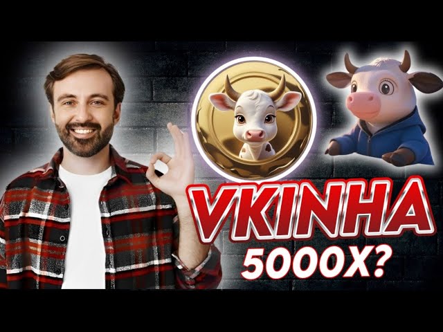 vkinha / BSCでトークン /ミームトークンをロックすることで報酬を獲得する