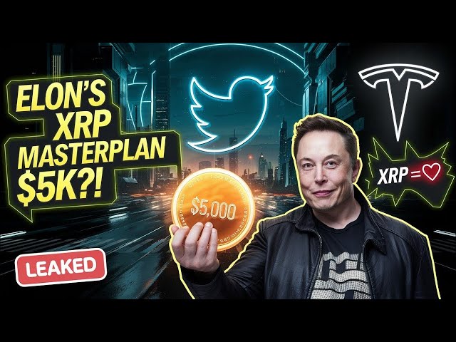 XRP $ 5.000 bestätigt! Elon Musks geheimer XRP -Masterplan entlarvt (Twitter Payments Revolution)