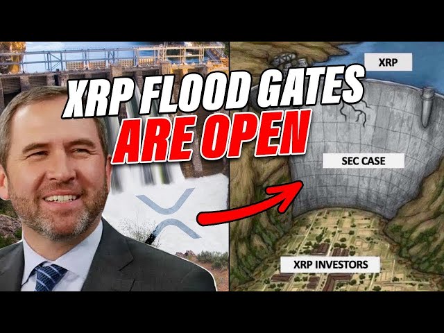 🚀 Les futurs XRP en direct! La bombe fiscale de la cryptographie de Trump? | Déclaration massive de Garlinghouse sur les banques! 🔥