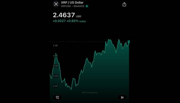 XRP whale