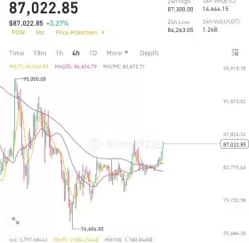 Crypto King👑💎.eth.sol