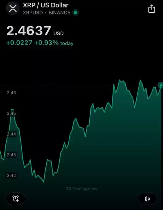 XRP whale