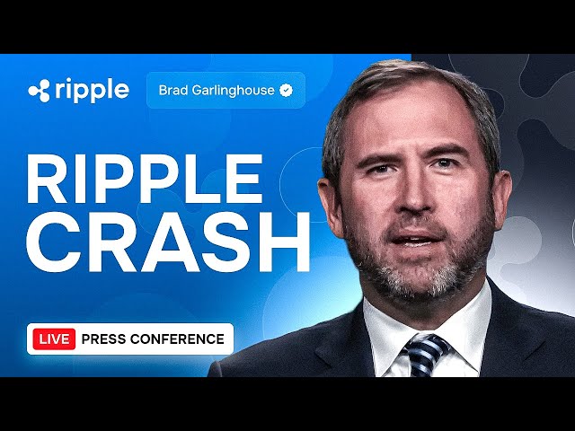 Brad Garlinghouse : Ripple Crash- 다음에 무슨 일이 일어날까요?! XRP 가격 예측