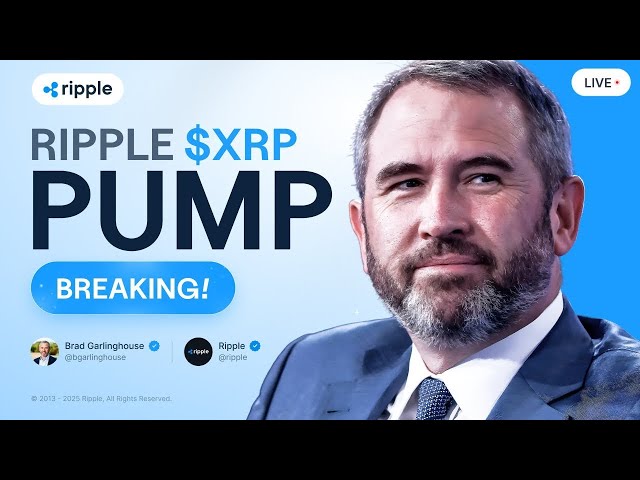 布拉德·加林豪斯（Brad Garlinghouse）：波紋泵 - 公牛奔跑是否已確認？ XRP價格預測