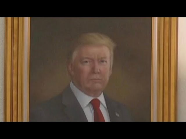 Downald Trump（Downald）Solana：Nova Meme Coin，可以做10x💎
