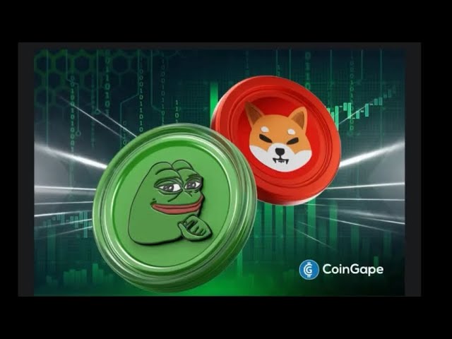Pepe硬幣將翻轉shiba inu #cryptofacts #cryptocurrency #trading