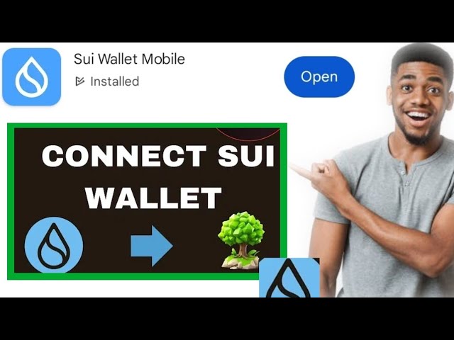 Seed Coin Connection To Sui Wallet Completed Using SUI Wallet Mobile App