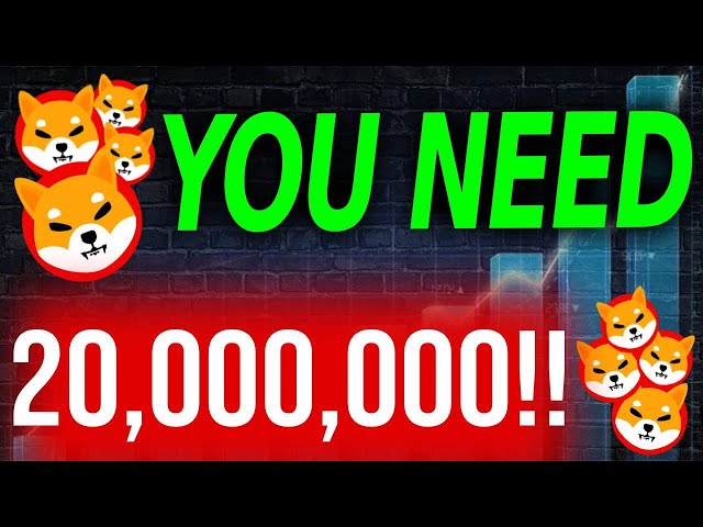 HOW MUCH WILL 20,000,000 SHIBA INU COIN BE WORTH IN 2025!! - SHIBA INU COIN NEWS TODAY
