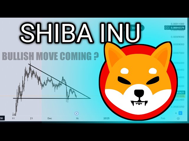 Shiba Inu (SHIB) Coin Price PREDICTION & Technical Analysis 24 March | Shib Latest News | Shiba Inu