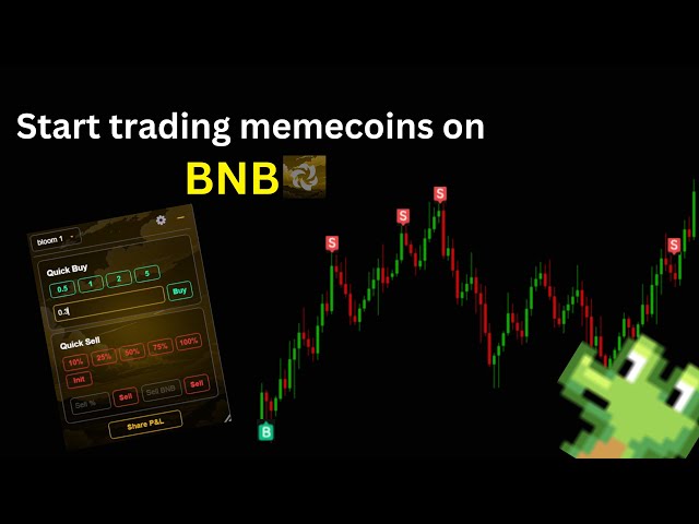 Wie man mit dem Handel mit BNB -Memecoins beginnt