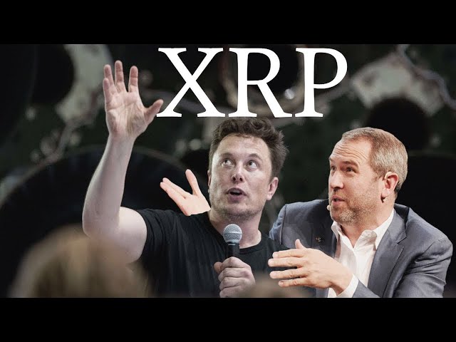 XRP Ripple: Brad Garlinghouse leckt versehentlich den XRP -Preis! ($ 1000 Fair Value) RIPPLE XRP News heute