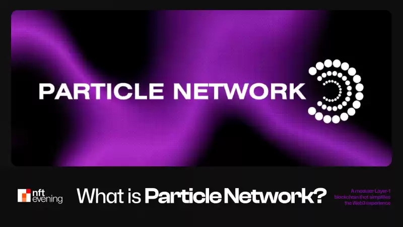 Particle Network is a technology that streamlines interactions between different blockchains.
