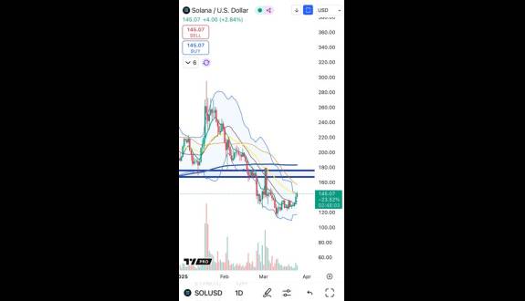 Cheds Trading