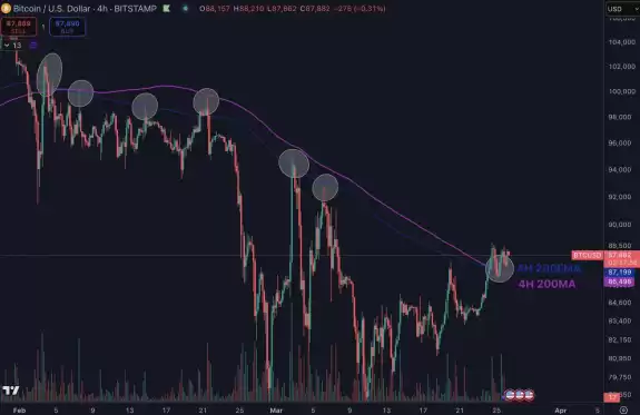 Daan Crypto Trades