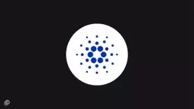 Coinvo