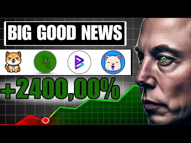 1€ - 確認（Binance -Big Good News）Big News Baby Doge，Kishu Inu，Volt Inu，Bitgert News今天