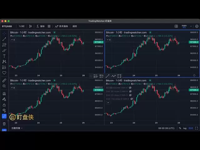 TradingWatcher-比特币BTC日常实时行情分析直播
