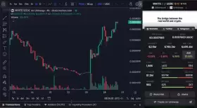wallstreetbets