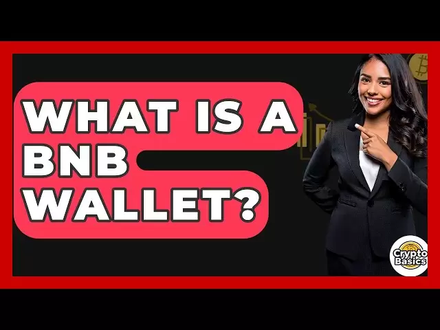 什麼是BNB錢包？ -CryptoBasics360.com