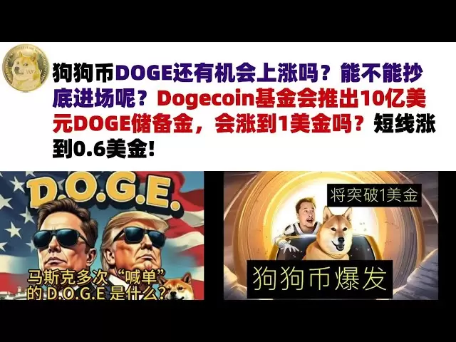 狗狗幣DOGE還有機會上漲嗎？能不能抄底進場呢？ Dogecoin基金會推出10億美元DOGE儲備金，會漲到1美金嗎？短線漲到0.6美金#DOGE幣#馬斯克狗狗幣#DOGE行情分析!