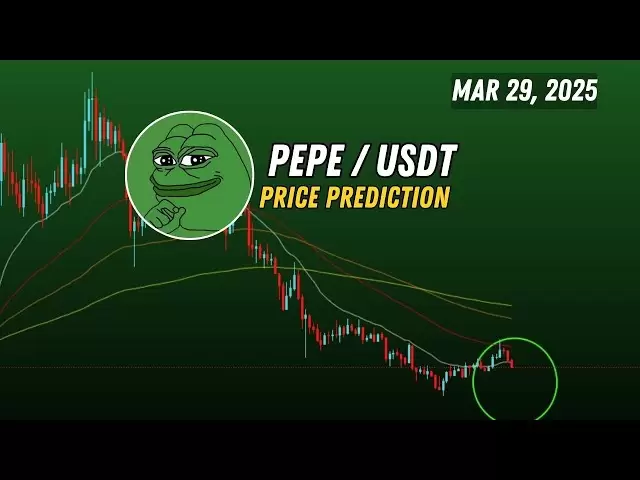 Pepe今天的價格預測，反彈？佩佩硬幣新聞今天3月29日，2025年