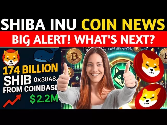 什巴伊努（Shiba Inu）硬币新闻今天：神秘的鲸鱼从Coinbase移动了1740亿个湿巾
