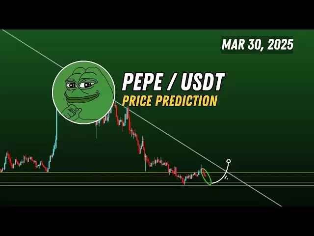 今天的Pepe價格預測|佩佩硬幣新聞今天3月30日，2025年