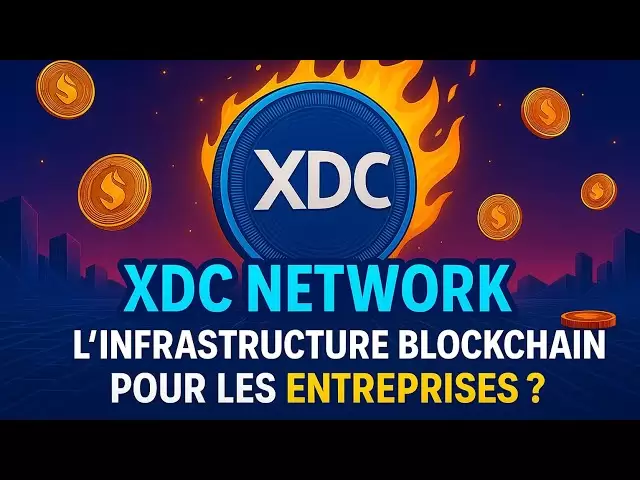 🏢XDC網絡🔗公司的區塊鏈基礎架構？