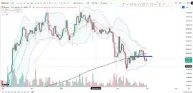 Cheds Trading