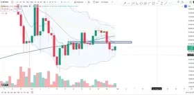 Cheds Trading