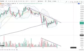 Cheds Trading