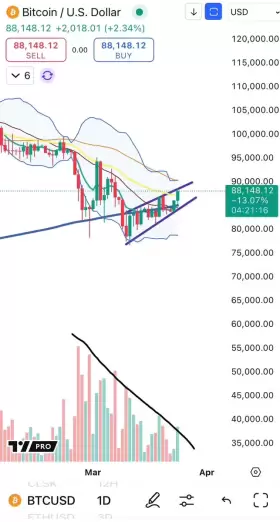 Cheds Trading