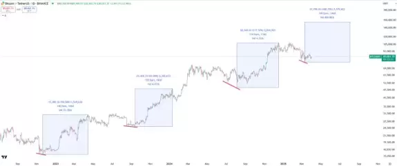 Bitbull