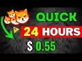 ALERT: SHIBA INU CEO'S URGENT (MESSAGE💬) TO SHIB HOLDERS - SHIBA INU COIN NEWS - PRICE PREDICTION!
