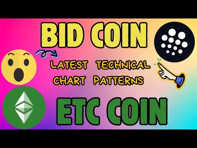 出价和等硬币图表更新 - 内部技术分析！ 📊