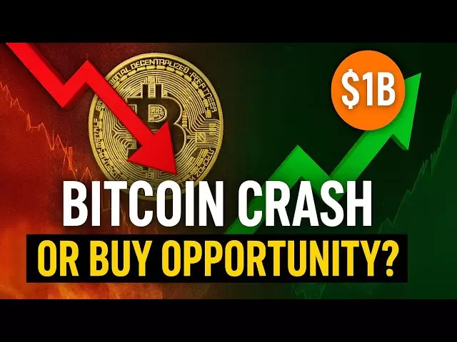 Bitcoin Crash ou Acheter une opportunité? Déplacement des baleines de 1 milliard de dollars, folie de monnaie de mèmes et risques de cryptographie cachés révélés!