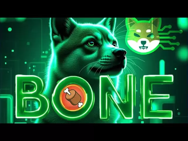 Les détenteurs de jetons à os, c'est enfin arrivé! Bone Shibaswap 100 $ maintenant possible! Shib Army Dernière Crypto 🚨