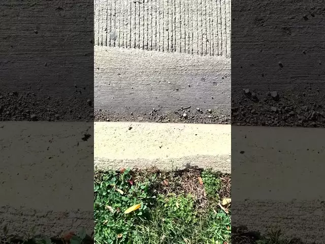 第二硬币部分被沙子覆盖...