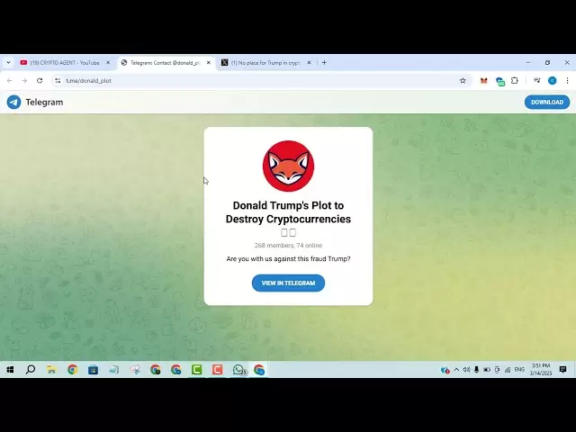 唐纳德·特朗普（Donald Trump）的情节 /模因硬币真正的自由！没有控制 /很快600倍