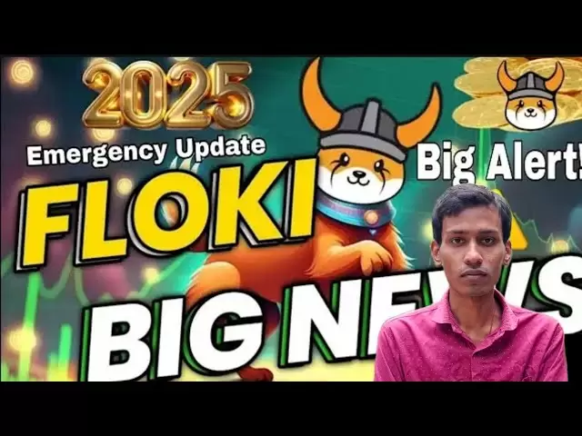 floki inu | floki inu下一个100x memcoin |价格预测|合伙