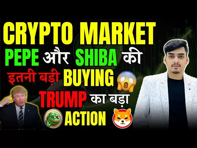 Pepe Coin和Shiba Inu如此大的購買😱😱加密市場更新|今天的加密新聞印地語