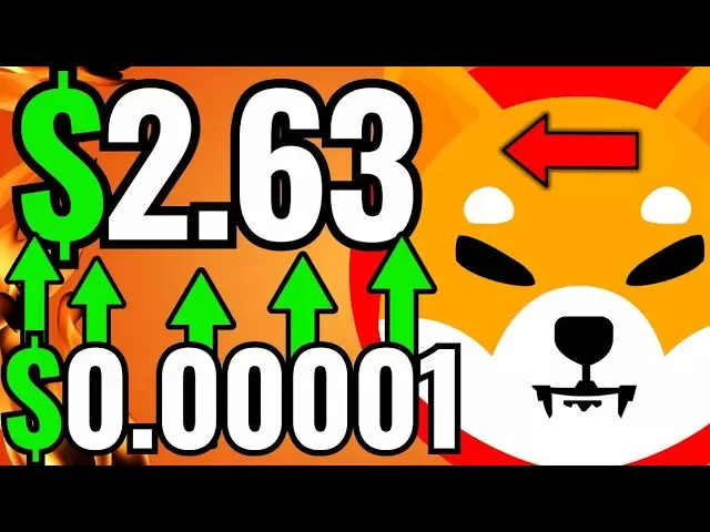 揭示：什巴·伊努（Shiba Inu