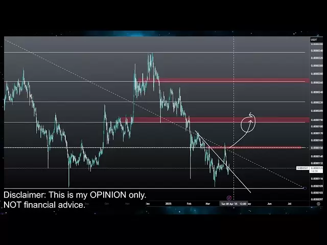 Shiba Inu Bull Run ou Crash !? Shib Coin Crypto Prix Prédiction et analyse technique aujourd'hui 2025