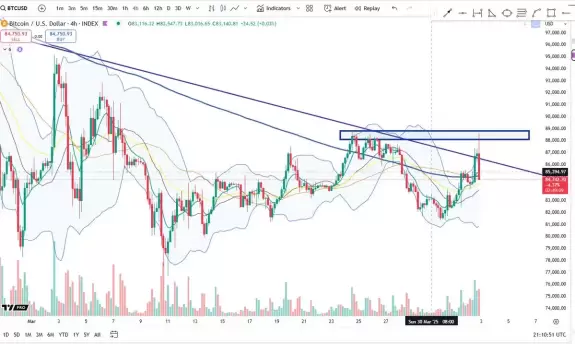 Cheds Trading