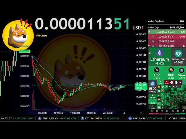 $ bonk |直播24/7 | Bonk USDT |邦克硬币| $ BONK交易信号图表