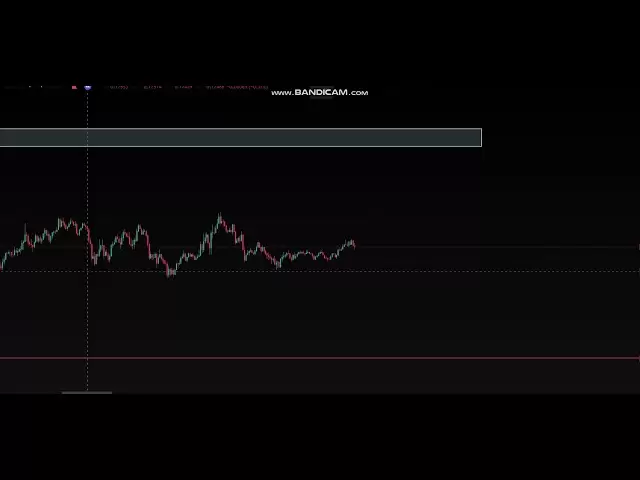 快速560 $或Doge Coin＃Dogecoin交易的分析