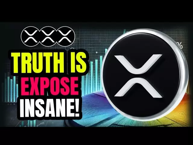 Ripple XRP: Mr. Pool & David Schwartz WARNED You! But You Didn’t Listen...