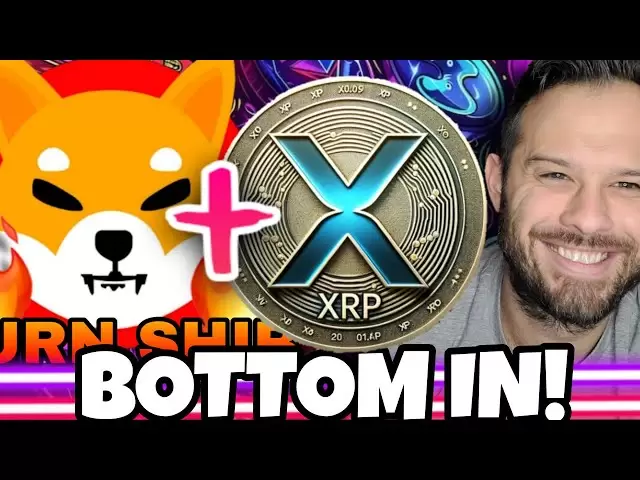 Shiba Inu Coin | Shib und XRP Bottom sind gemäß dieser Analyse!
