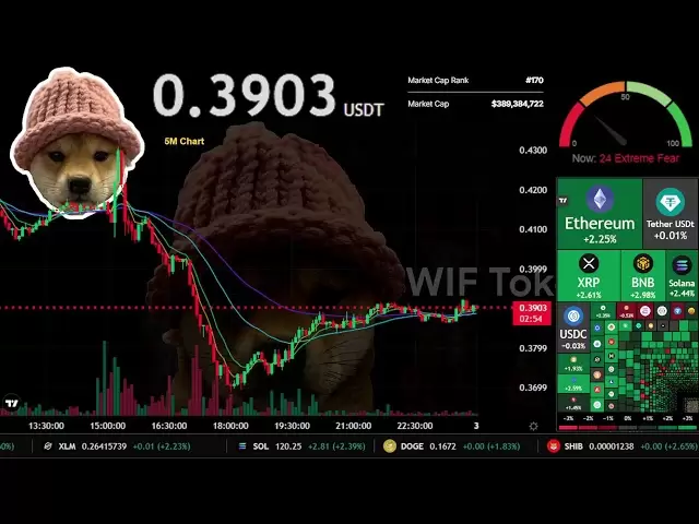 $ wif |直播24/7 | wif USDT | Dogwifhat硬币| $ WIF交易信号图表