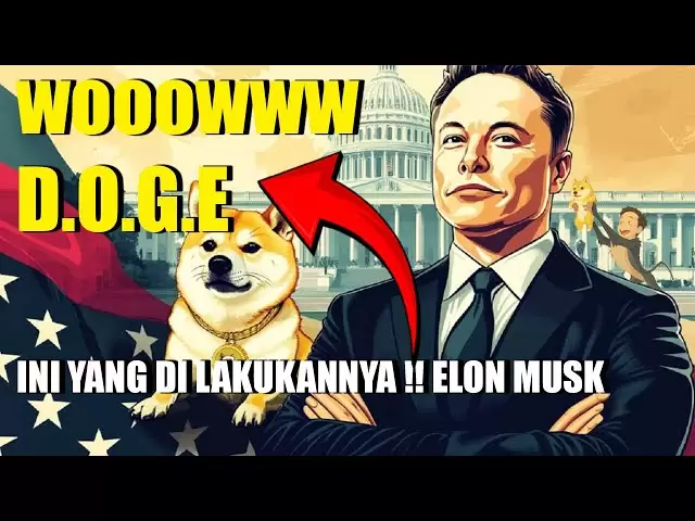 Wooowww Doge Coin準備飛行！現在這樣做，不要錯過它！